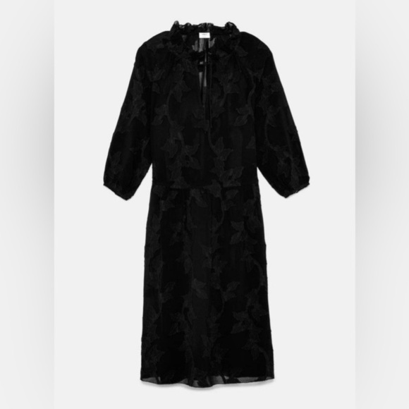 Aritzia Wilfred Dufour Ruffle Dress floral whimsigoth sheer unconventional lace - Picture 2 of 14